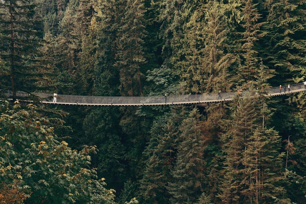 Capilano Suspension Bridge spanning a rainforest canyon