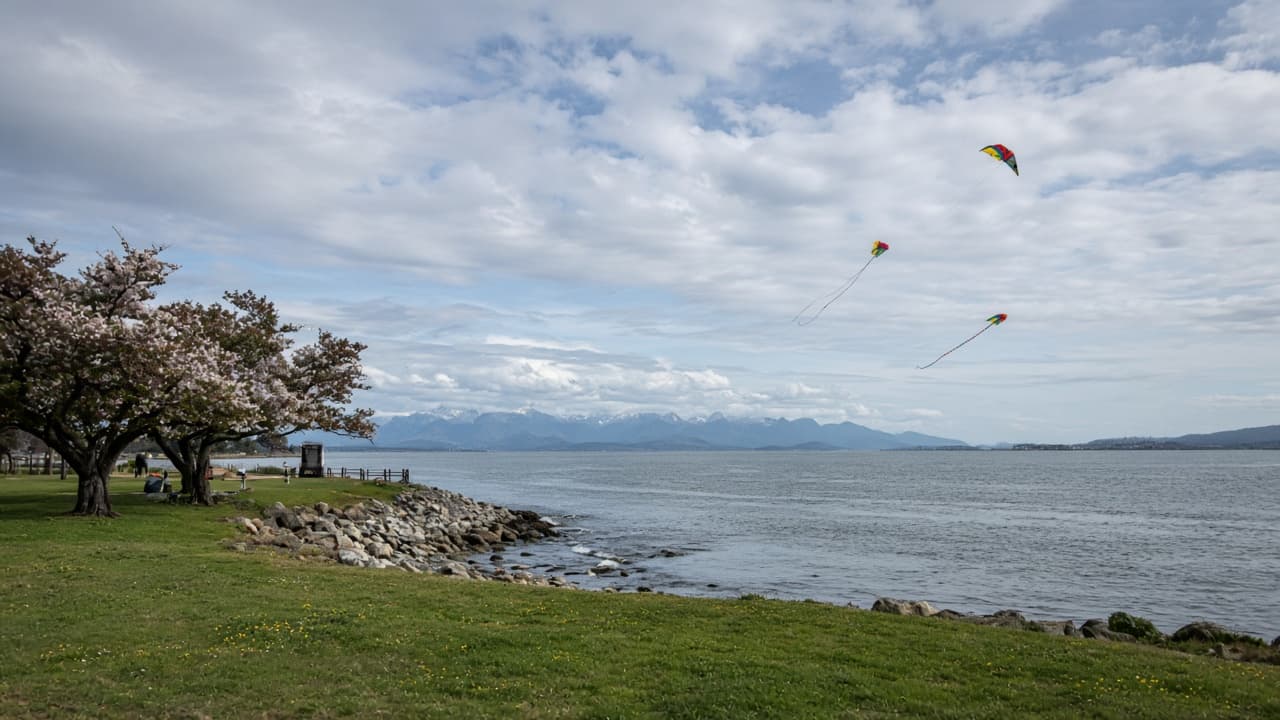 Open coastal park and sky