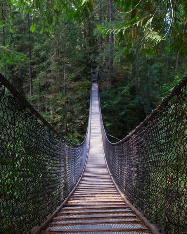 Looking along Lynn Canyon Suspension Bridge through rainforest