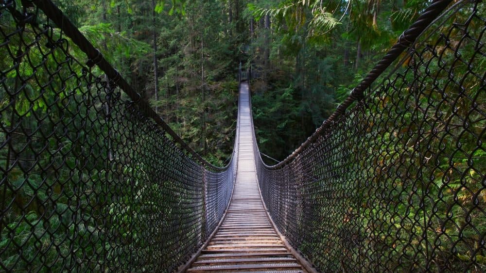Looking along Lynn Canyon Suspension Bridge through rainforest