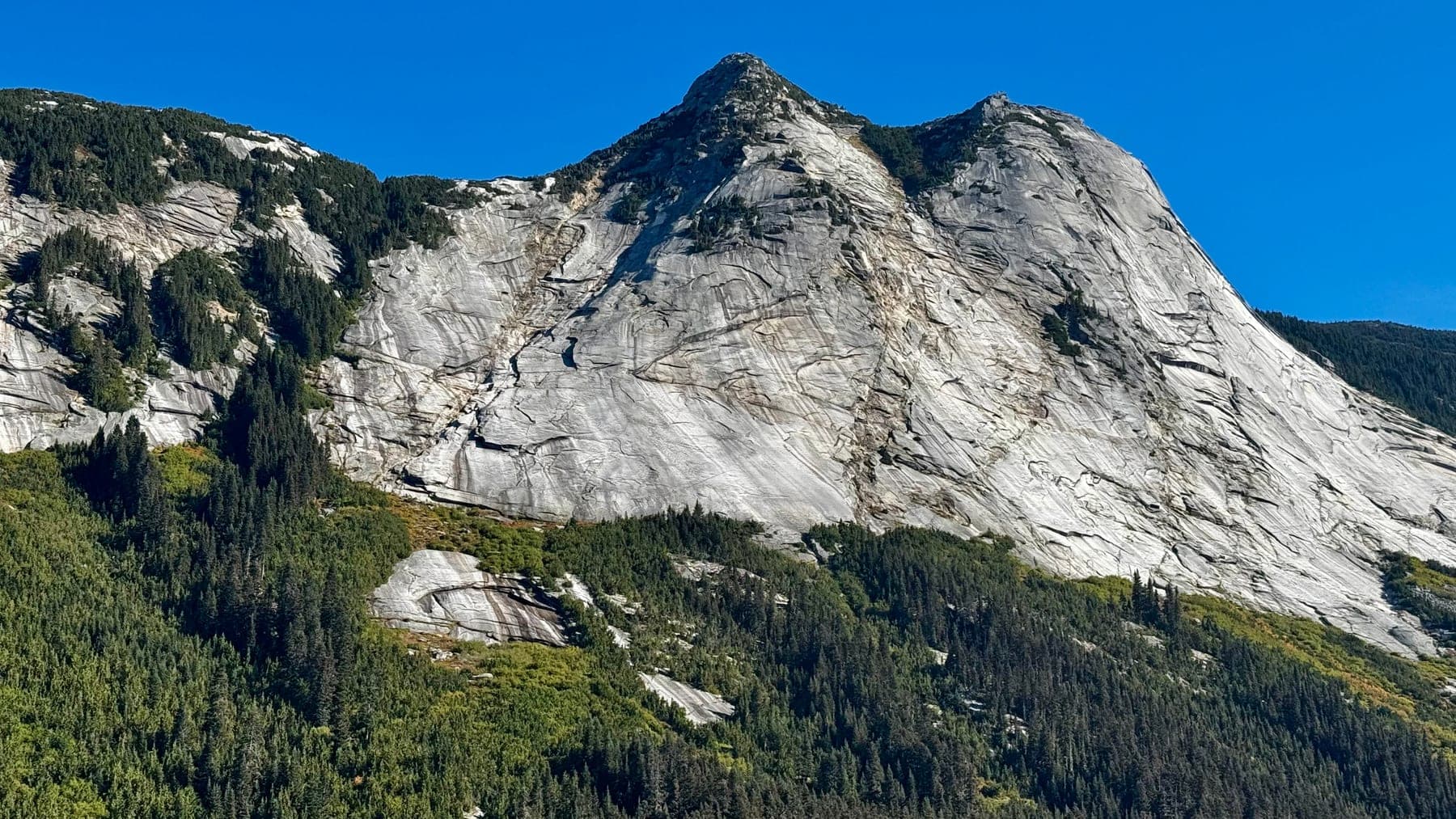 West Vancouver rainforest and rocky shoreline