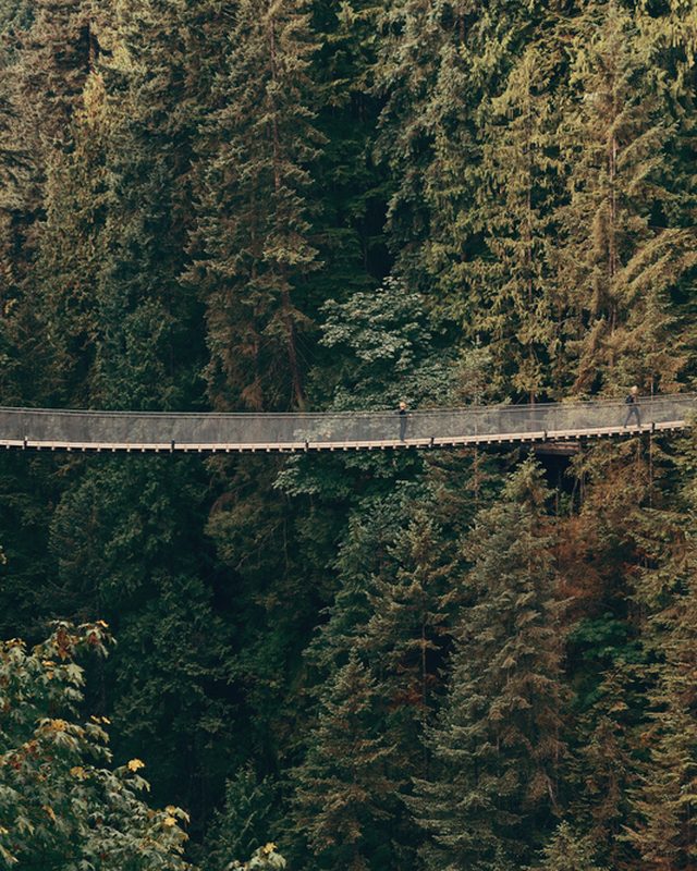 Capilano Suspension Bridge spanning a rainforest canyon