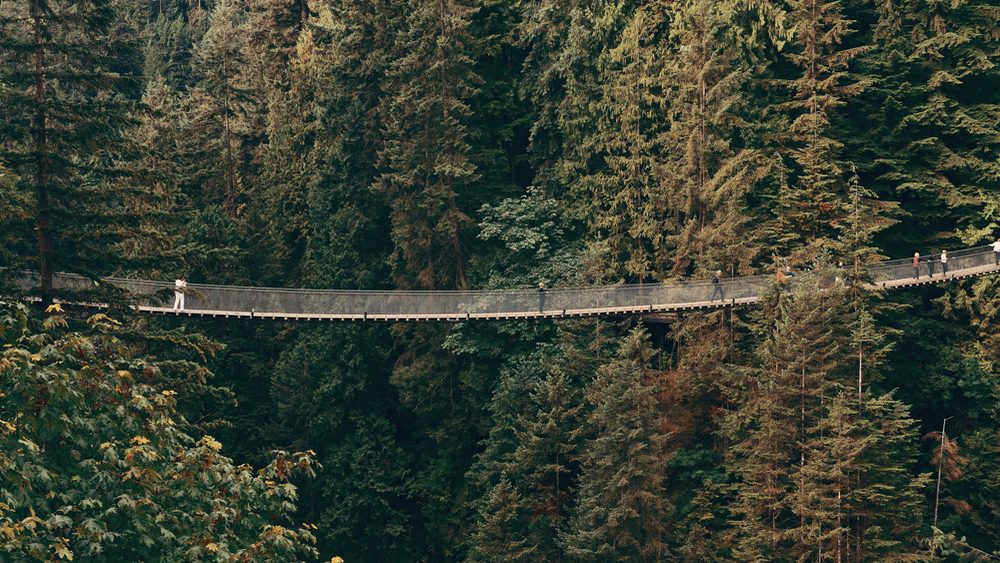 Capilano Suspension Bridge spanning a rainforest canyon