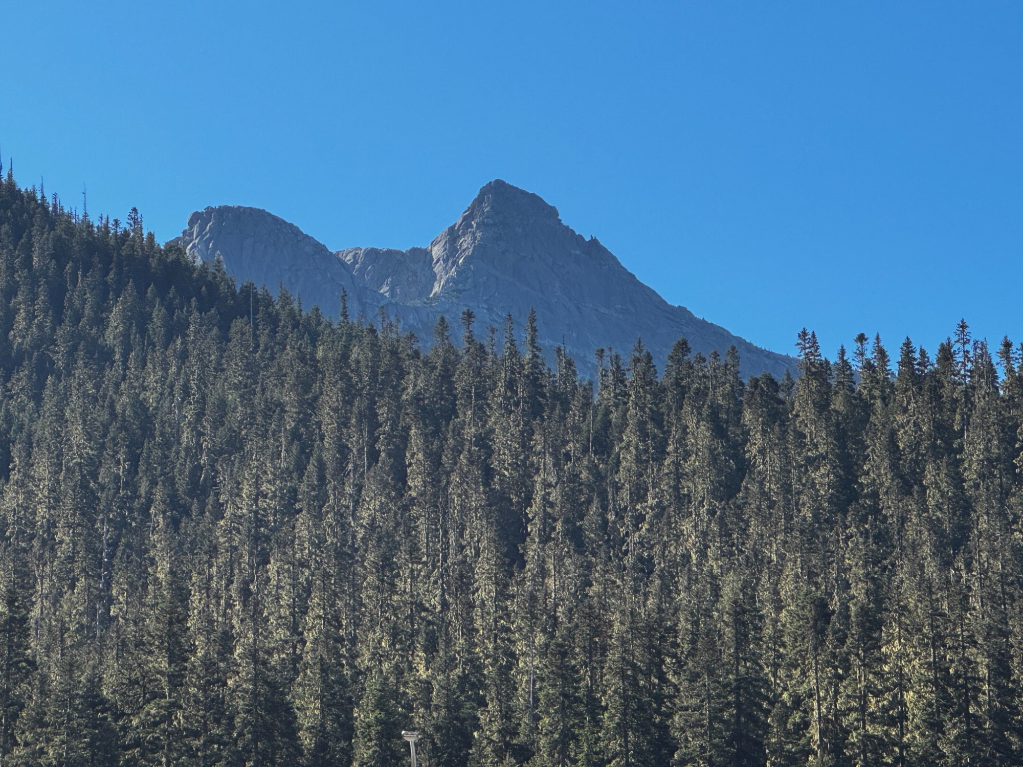 A forested Coquihalla ridge under a clear sky, east of Hope