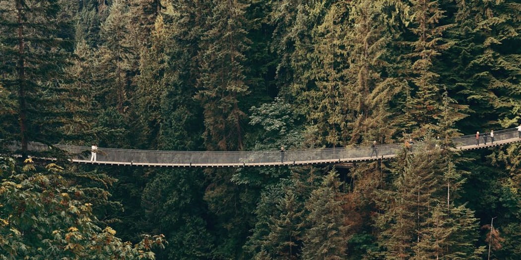 Capilano Suspension Bridge spanning a rainforest canyon