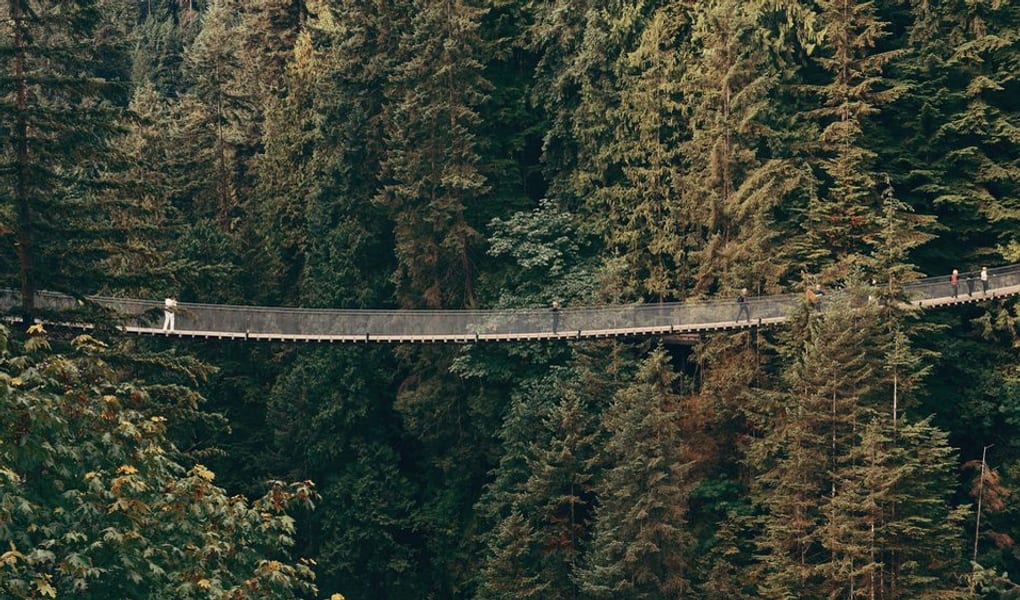Capilano Suspension Bridge spanning a rainforest canyon