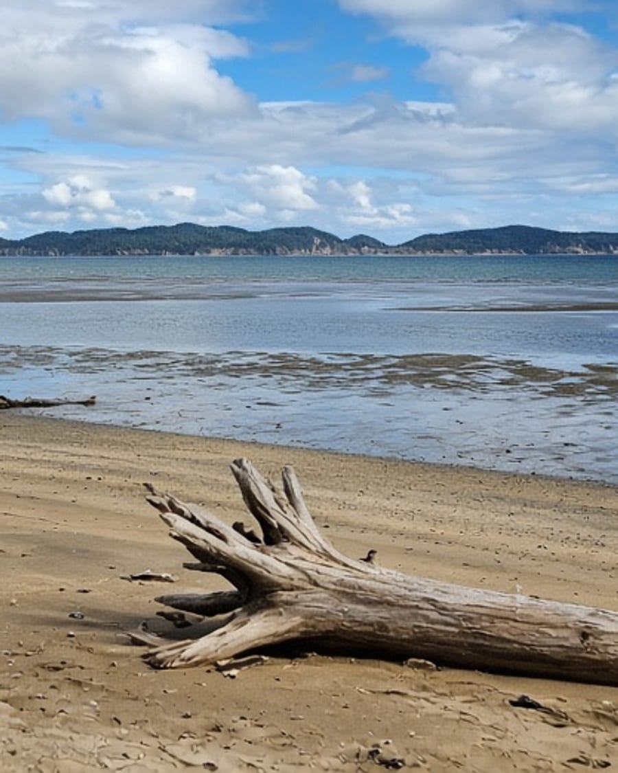 Wide tidal beach on the Pacific