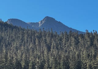 A forested Coquihalla ridge under a clear sky