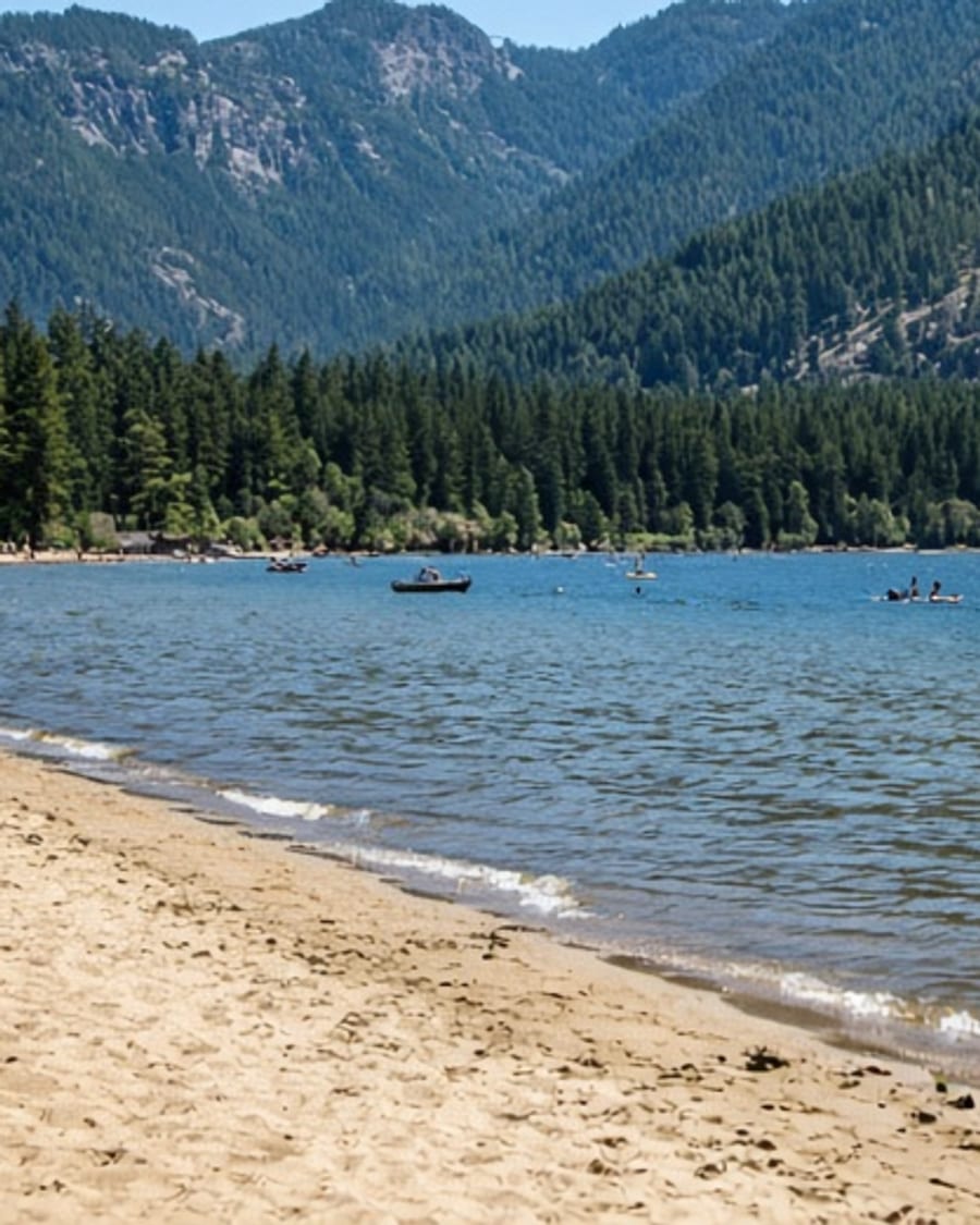Forest lake in a mountain valley