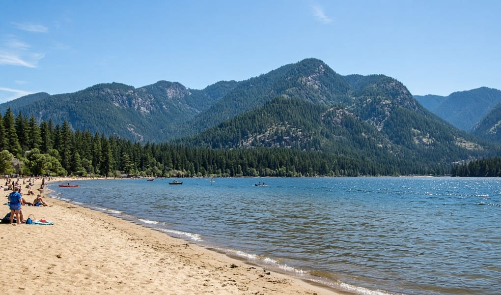 Forest lake in a mountain valley