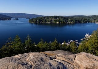 Deep Cove from the lookout