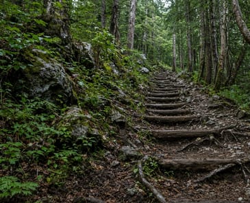 Steep rainforest stairs on the Grouse Grind
