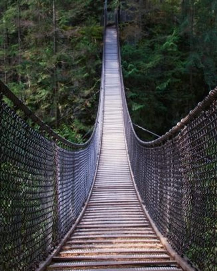 Looking along Lynn Canyon Suspension Bridge through rainforest