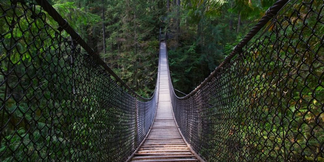 Looking along Lynn Canyon Suspension Bridge through rainforest