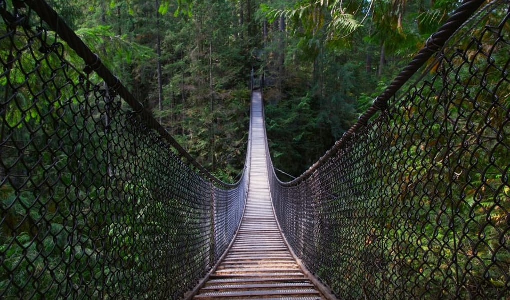 Looking along Lynn Canyon Suspension Bridge through rainforest