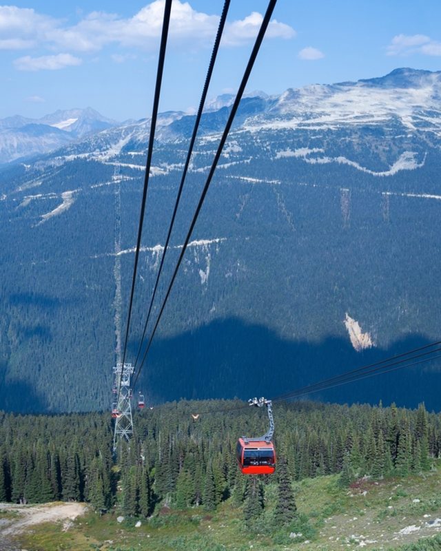 A Peak 2 Peak gondola over alpine forest between Whistler and Blackcomb