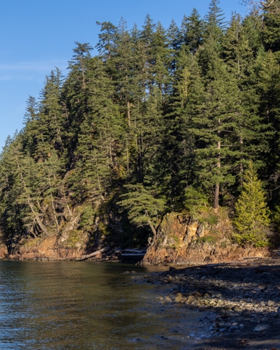 Mountain lake shoreline