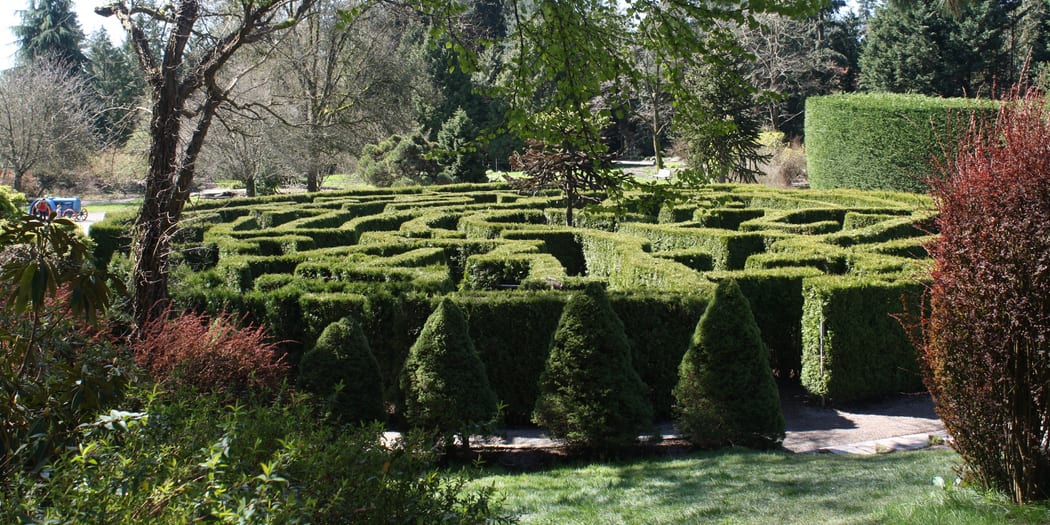 Lush botanical garden path