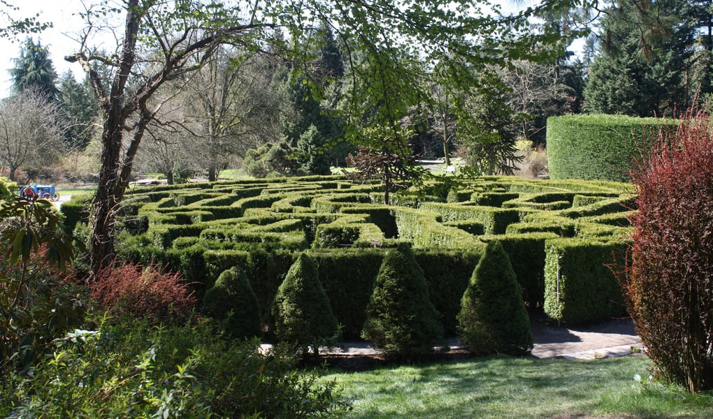 Lush botanical garden path