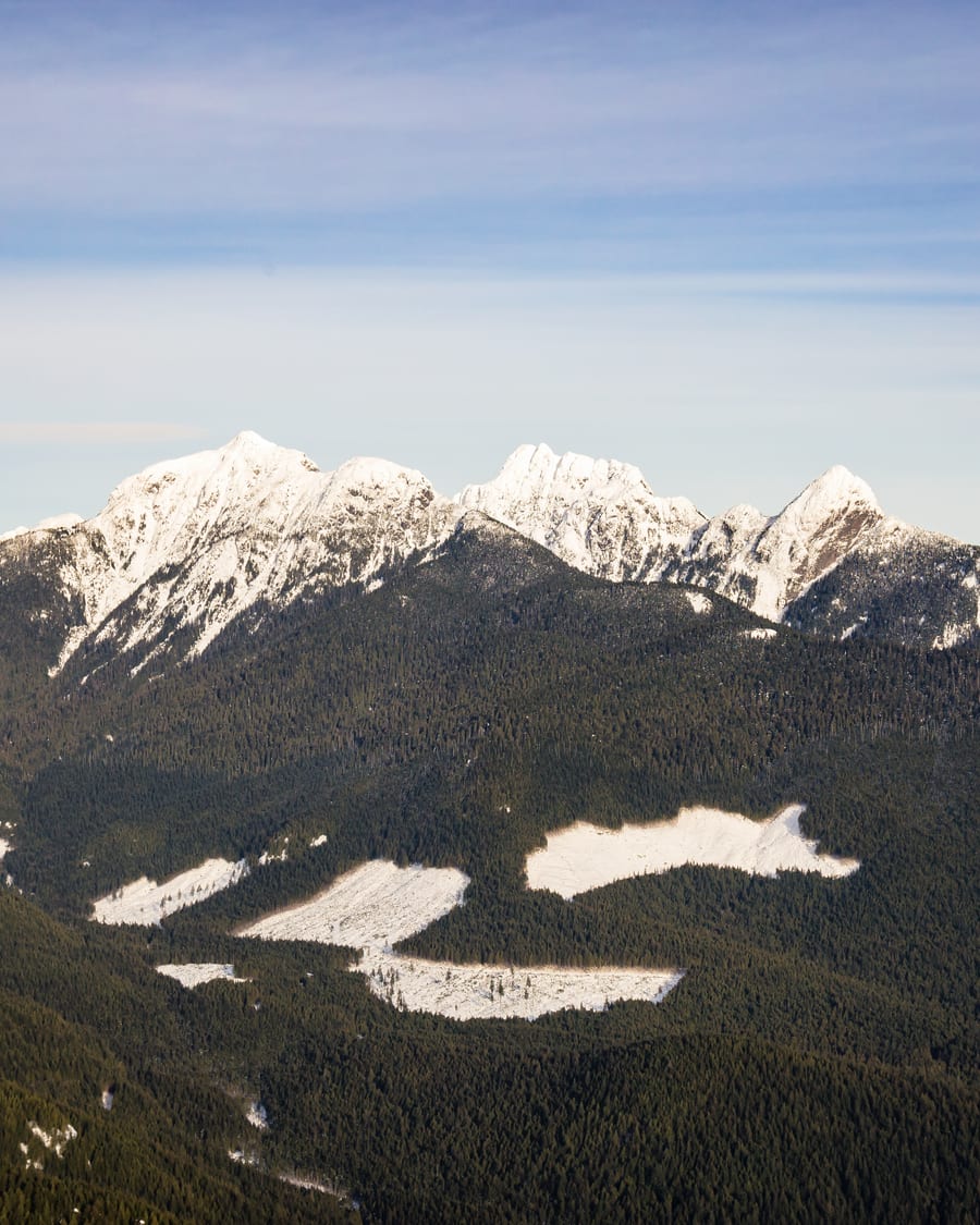 Mountain lake surrounded by forest