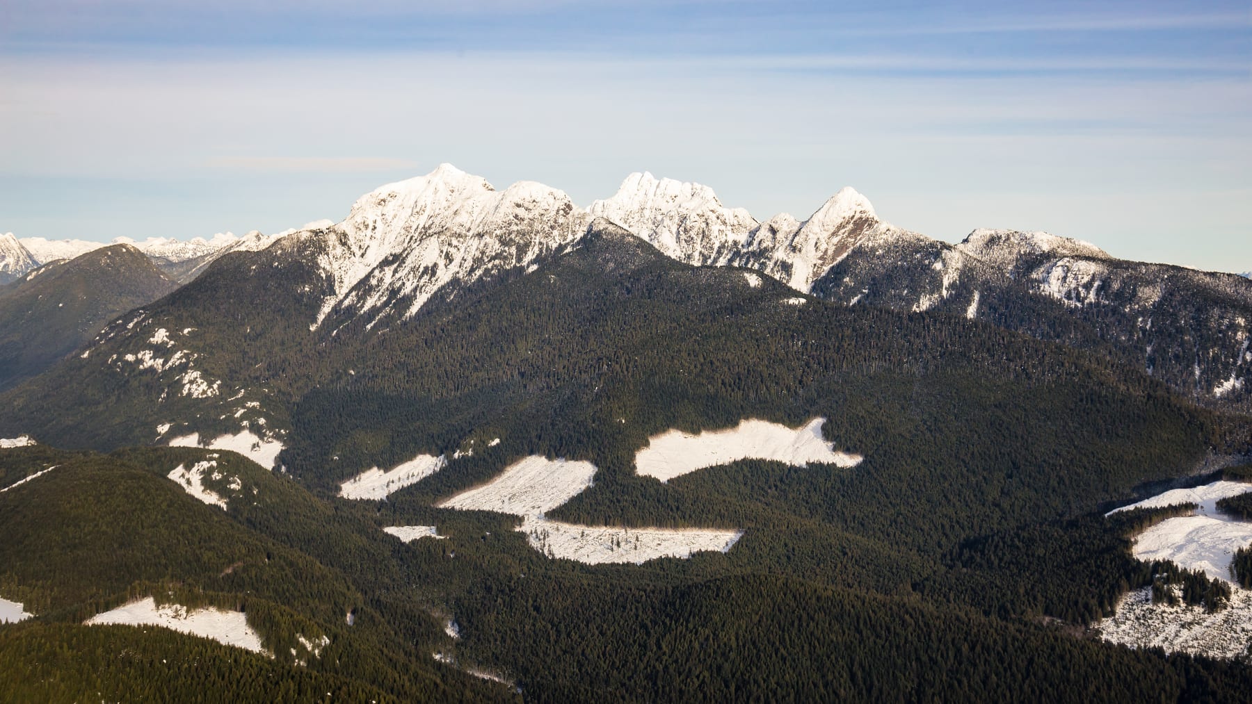 Mountain lake surrounded by forest