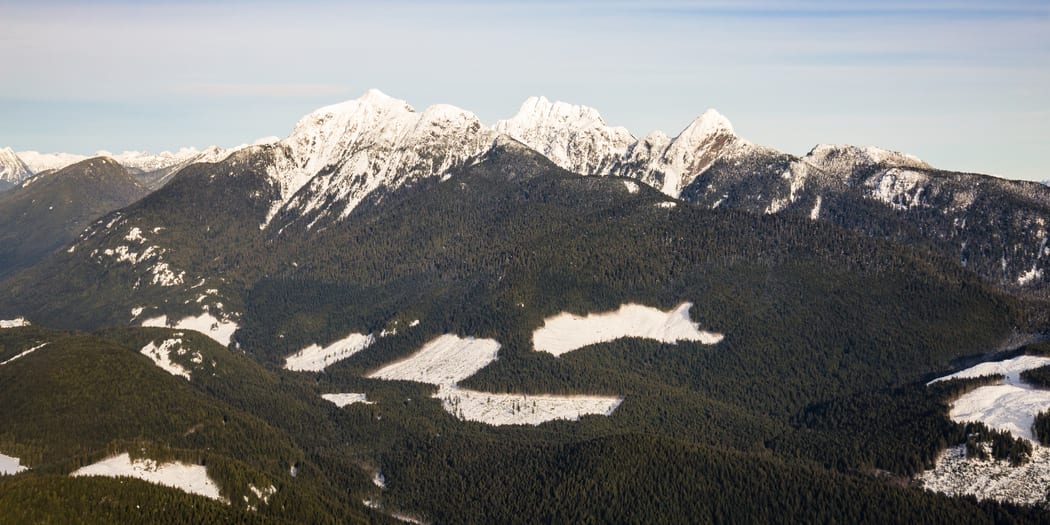 Mountain lake surrounded by forest