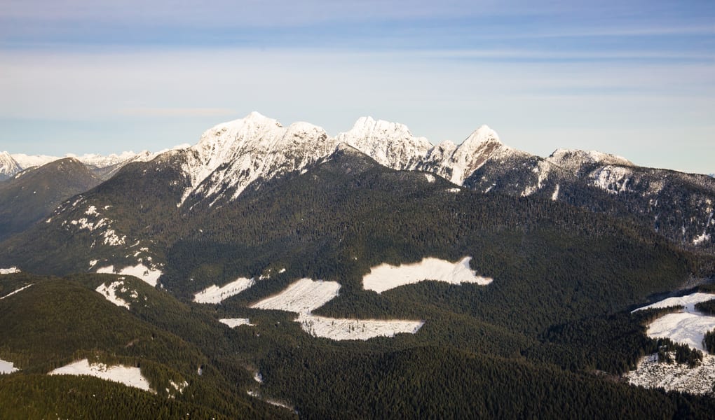 Mountain lake surrounded by forest