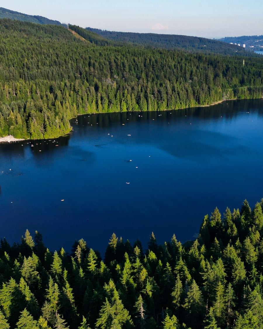 Calm lake surrounded by forest