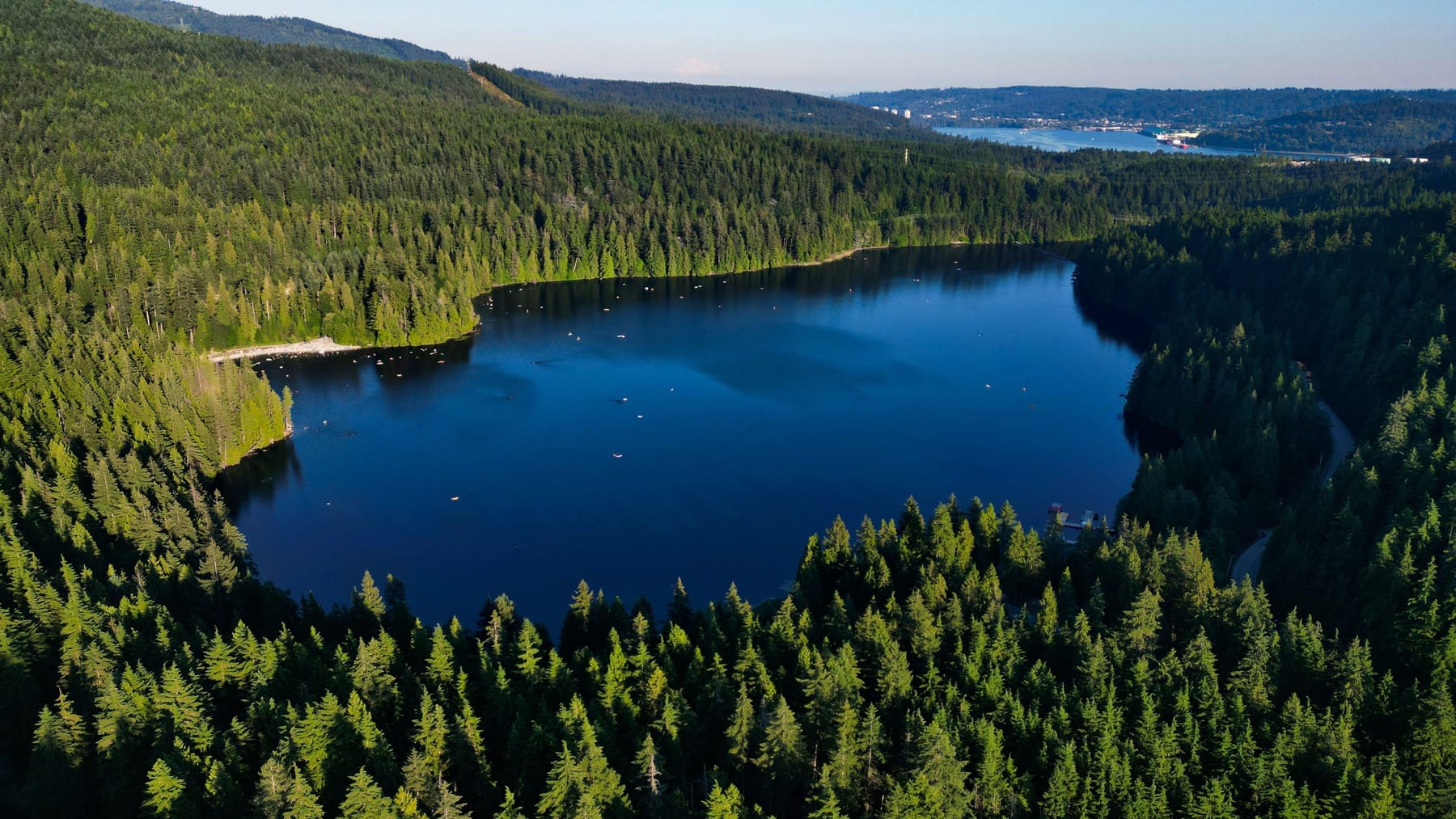 Calm lake surrounded by forest