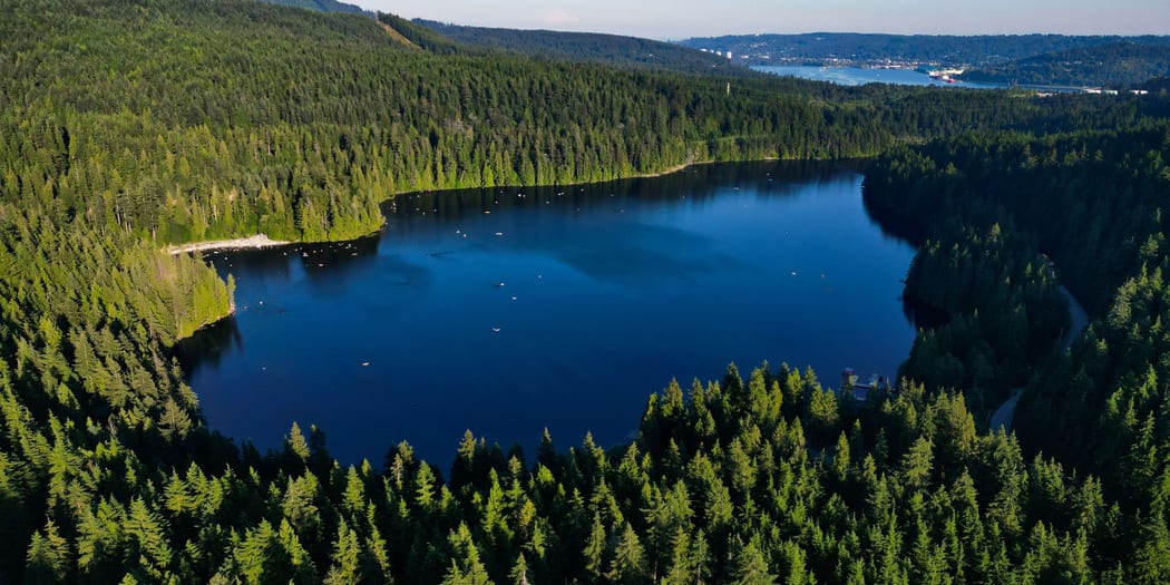 Calm lake surrounded by forest