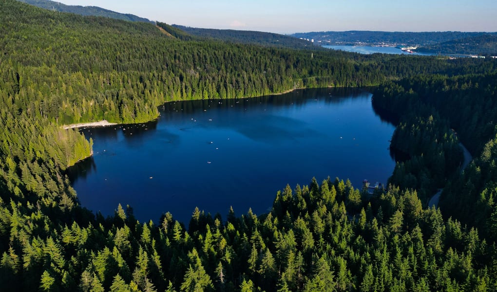 Calm lake surrounded by forest