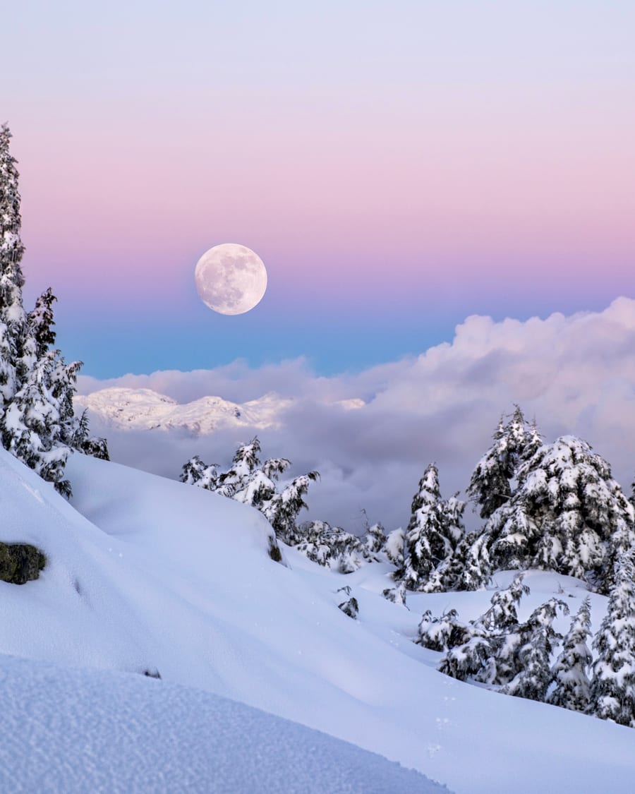 Snowy mountains above a coastal inlet