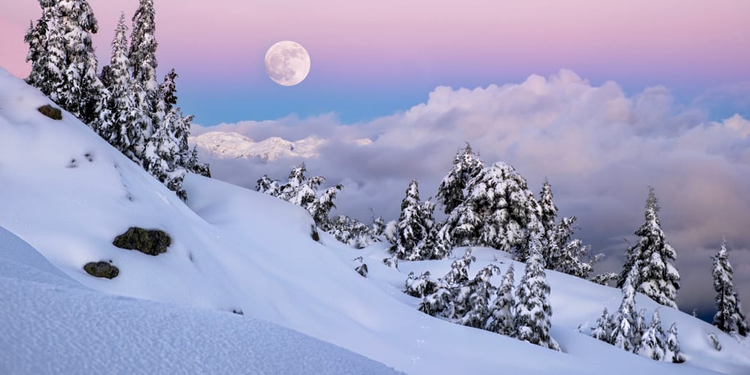 Snowy mountains above a coastal inlet