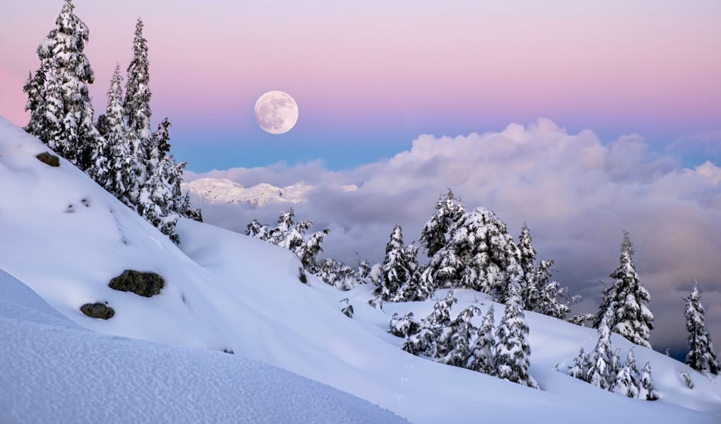 Snowy mountains above a coastal inlet