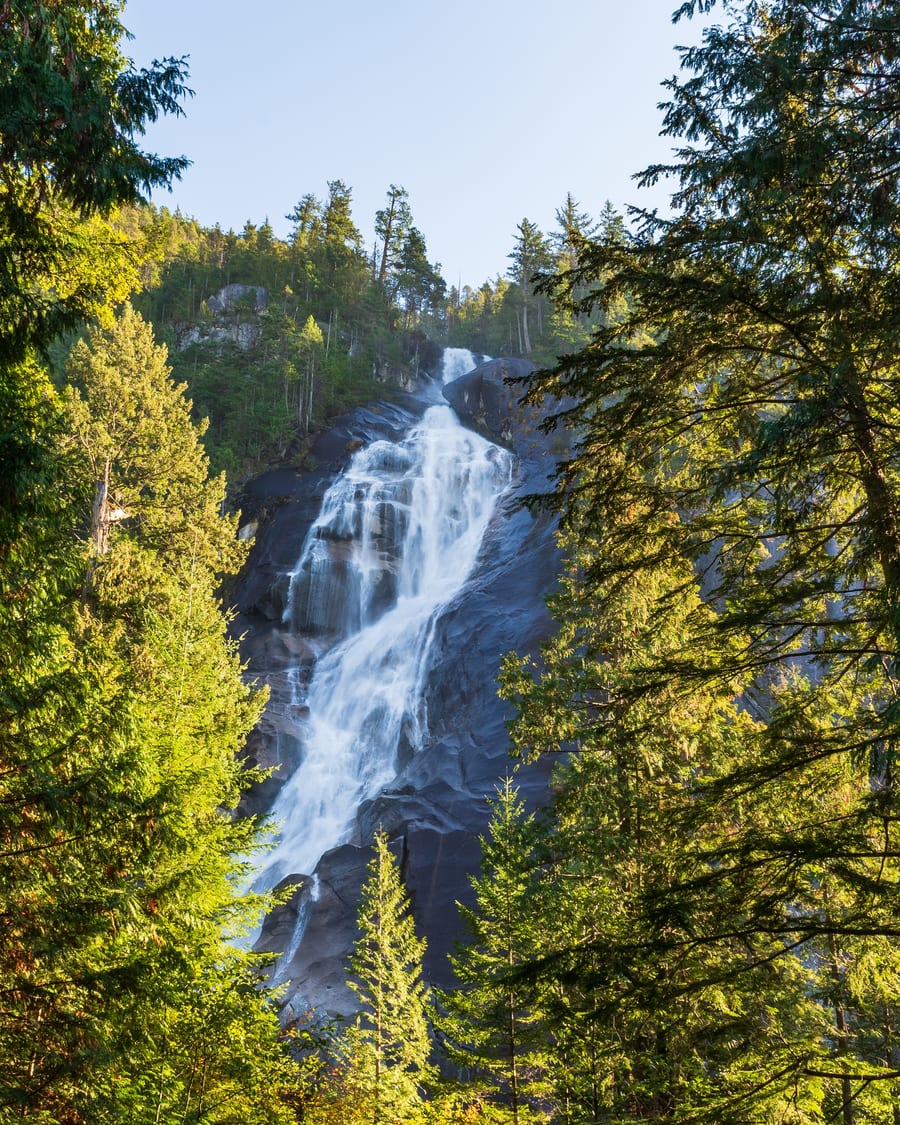 Waterfall in a forested canyon