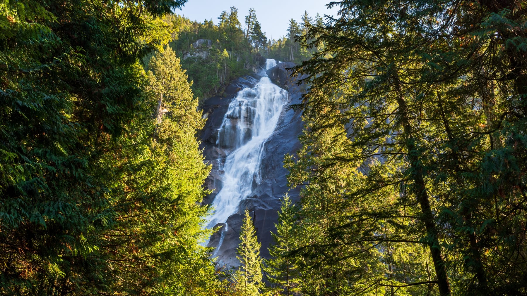 Waterfall in a forested canyon
