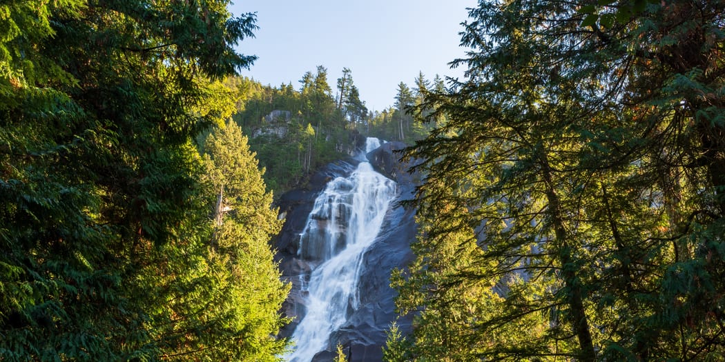Waterfall in a forested canyon