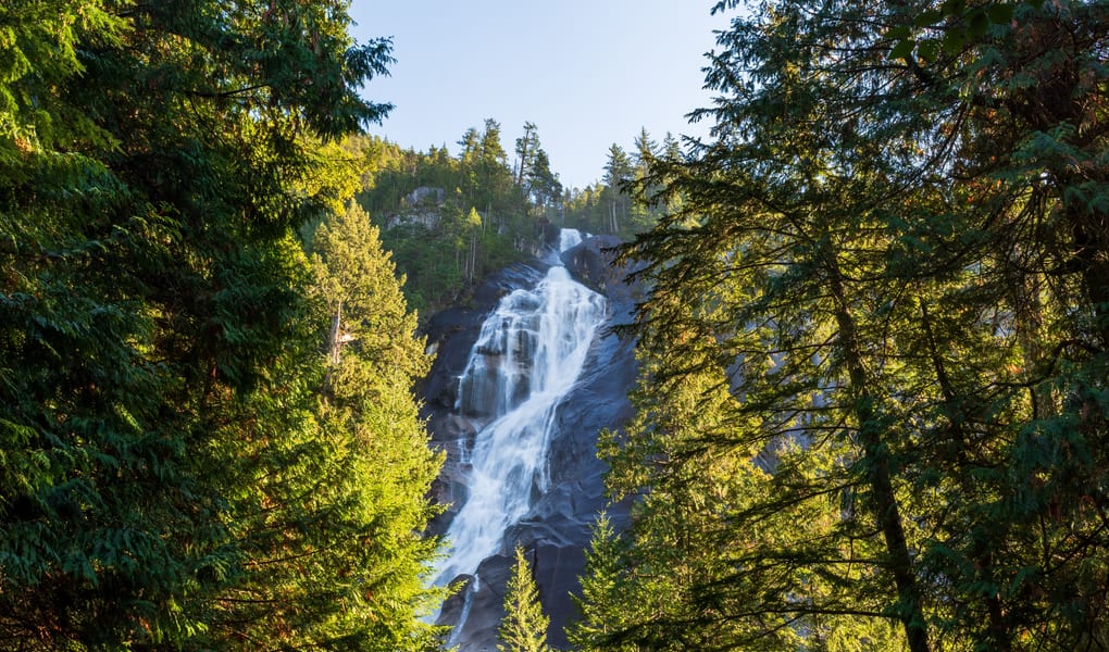 Waterfall in a forested canyon