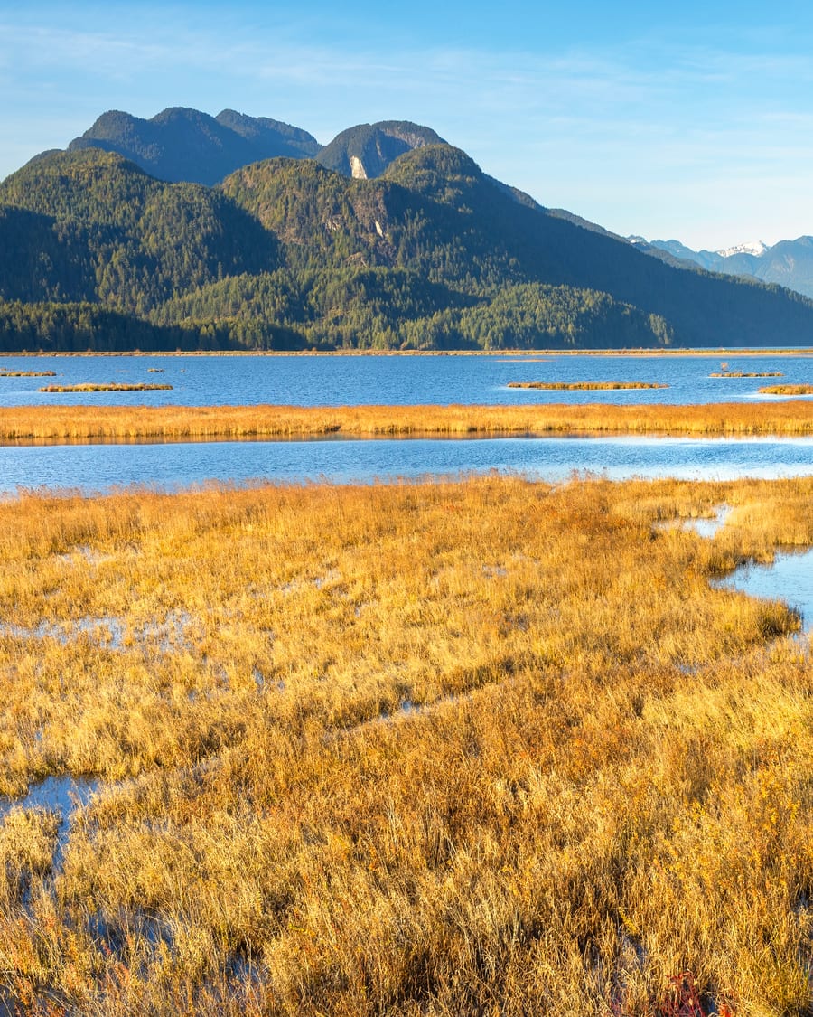 Wide tidal lake under mountains