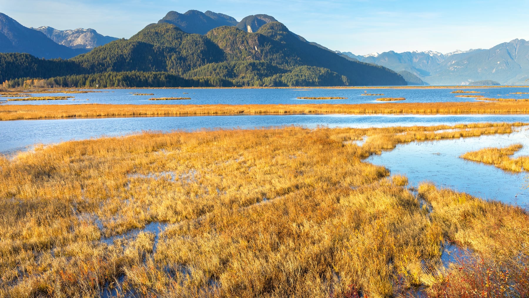Wide tidal lake under mountains