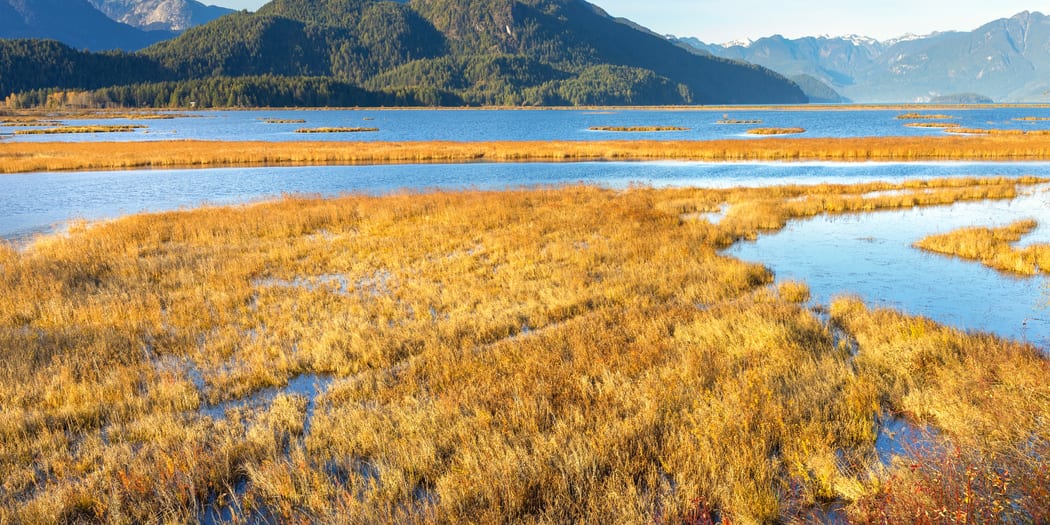 Wide tidal lake under mountains