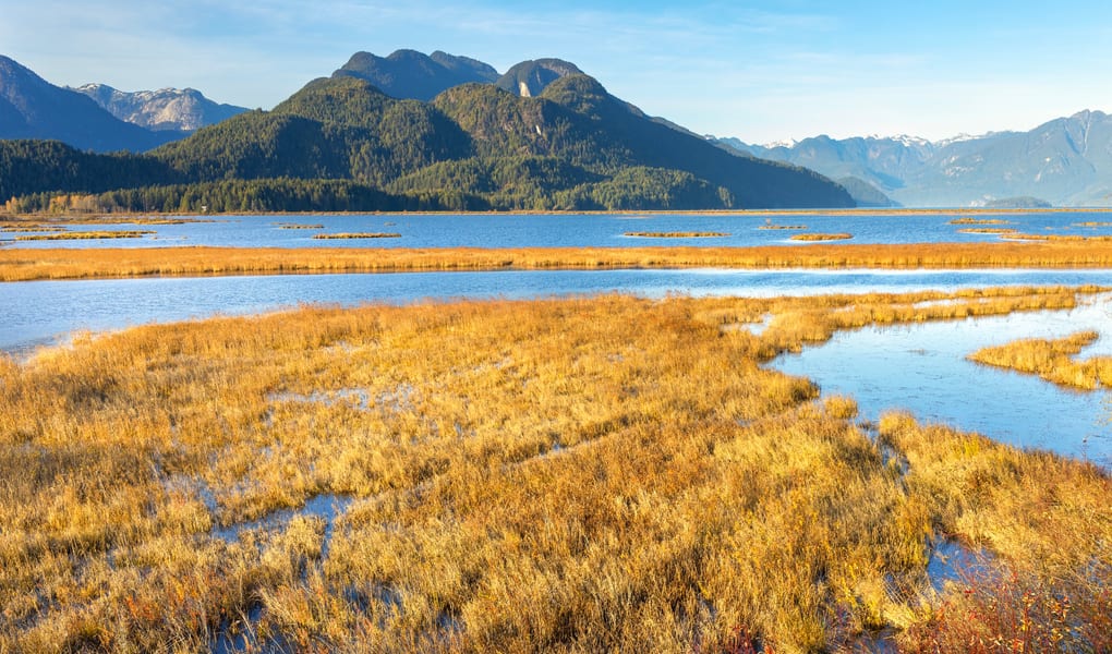 Wide tidal lake under mountains