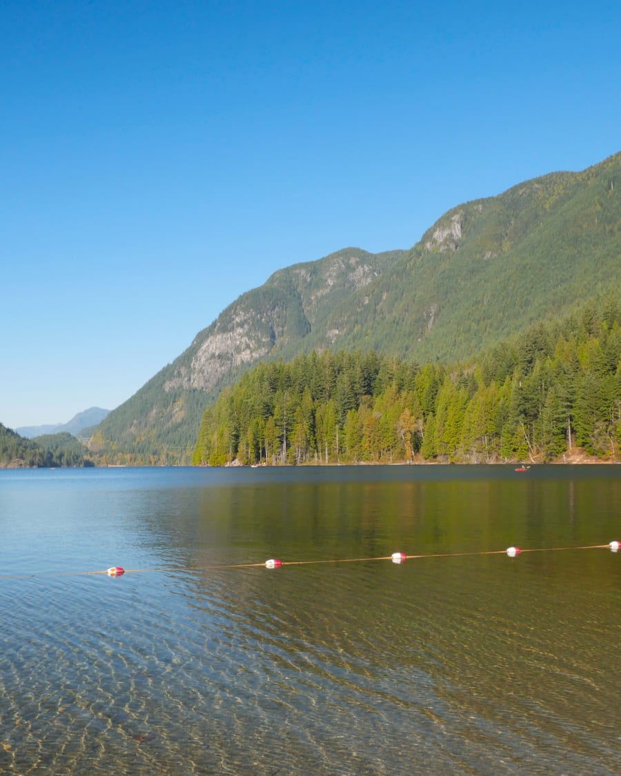 Forest reservoir lake in the mountains