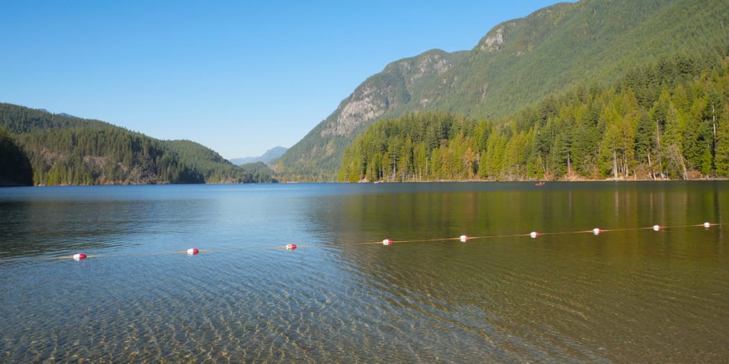 Forest reservoir lake in the mountains