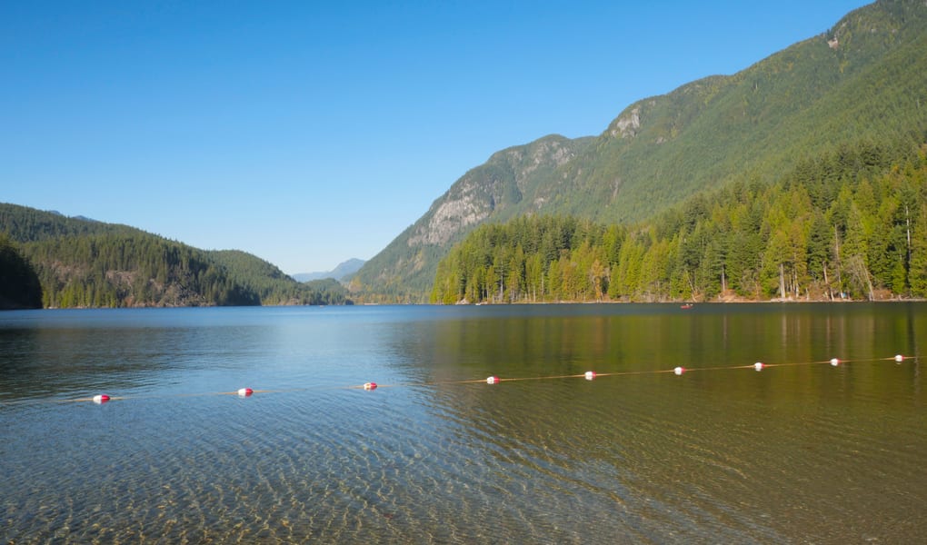 Forest reservoir lake in the mountains
