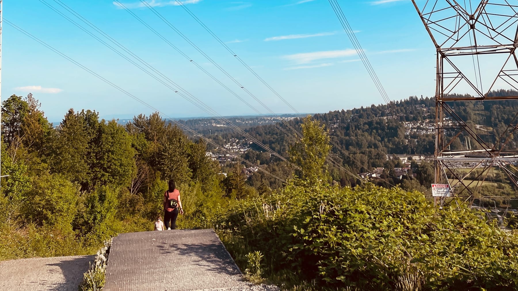 Steep forested hiking trail