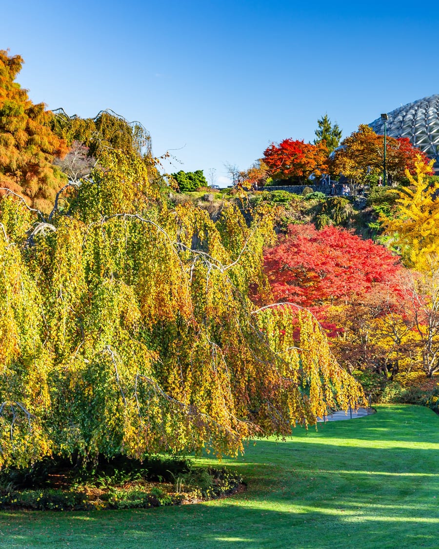 Lush garden plantings on a hillside
