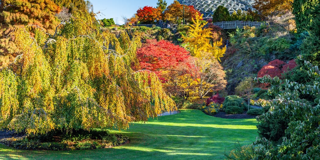 Lush garden plantings on a hillside