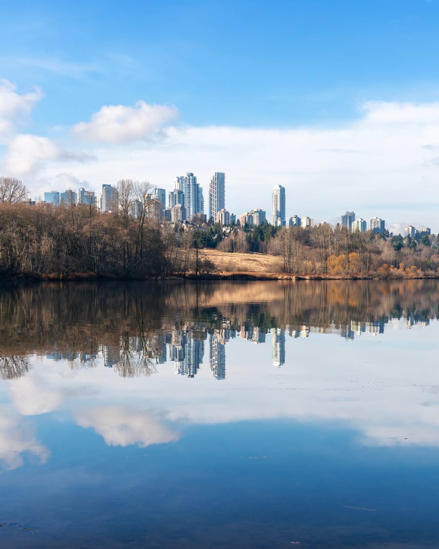 Calm lake surrounded by forest and parkland