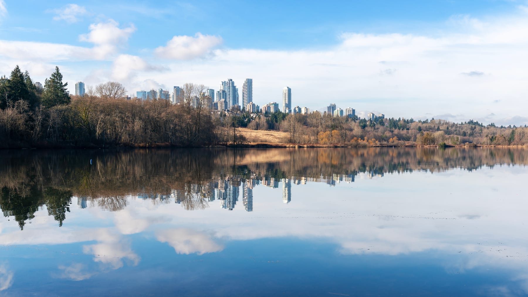 Calm lake surrounded by forest and parkland